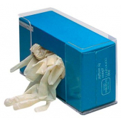 Hospitals Laboratories Catering Glove Dispensers 1 compartment