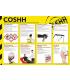 COSHH Poster Control of Substances Hazardous Poster