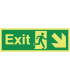 Nite Glo Exit Arrow Down Right Sign