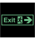 Nite Glo Exit Arrow Right Sign