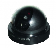Intelligent Motion Decoy Dome Camera