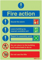 Nite-Glo Photo-luminescent Fire Action Signs