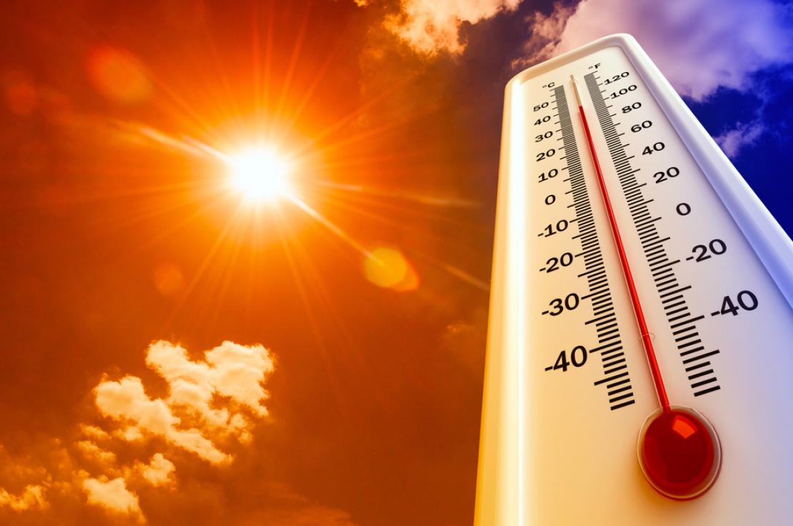 How To Deal With Heat Stress This Summer